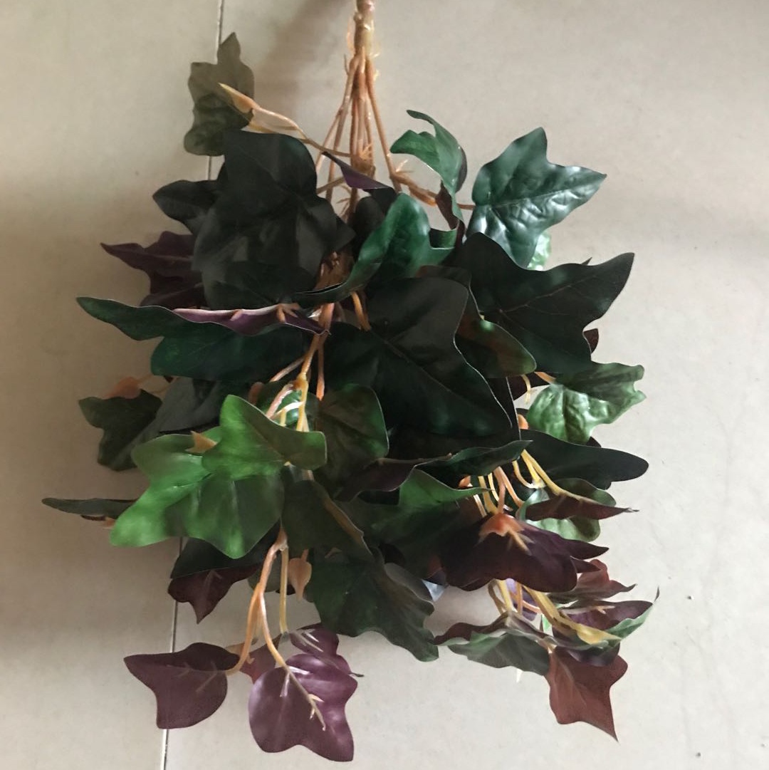 番薯叶仿真植物番薯叶仿真植物番薯叶仿真植物