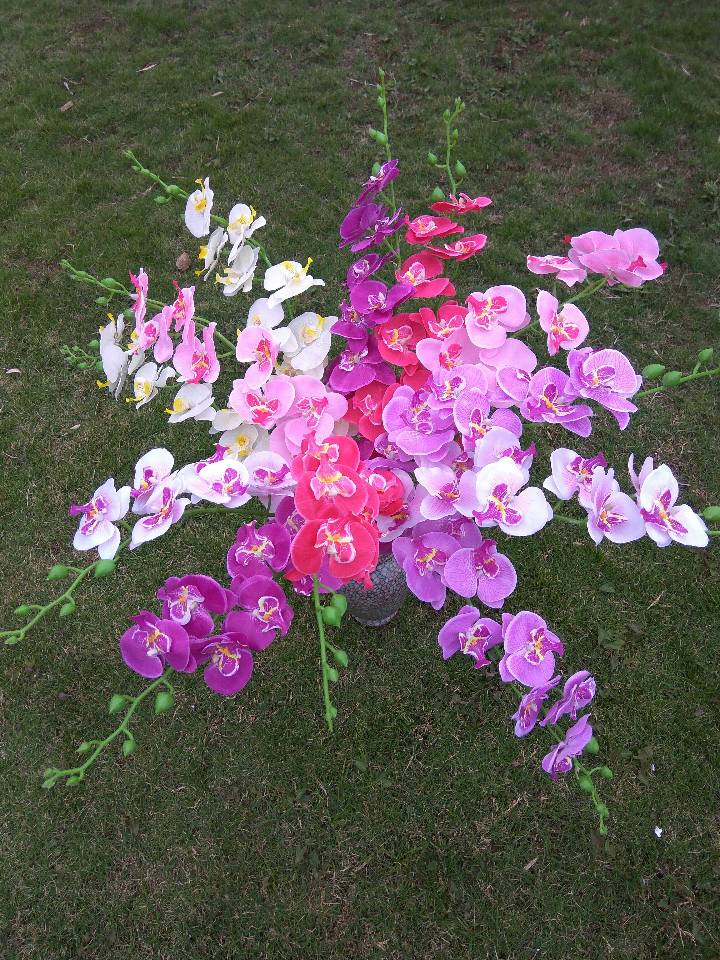仿真花，，蝴蝶兰，郁金香，玫瑰花瓣，玫瑰，菊花，兰花，绣球花，尤加利藤条，满天星，春草，Pu迷你郁金香，太阳花，仿真水果