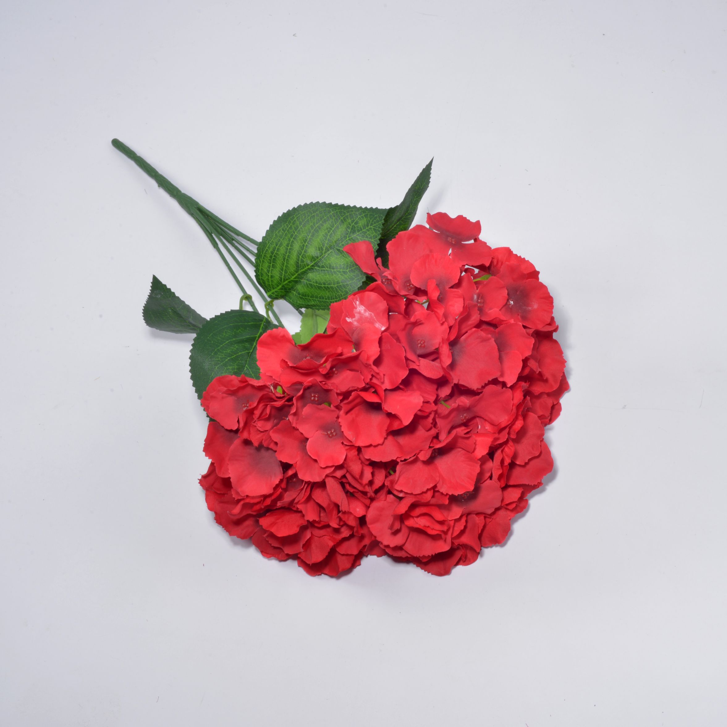 5 hydrangeas - bright red thumbnail