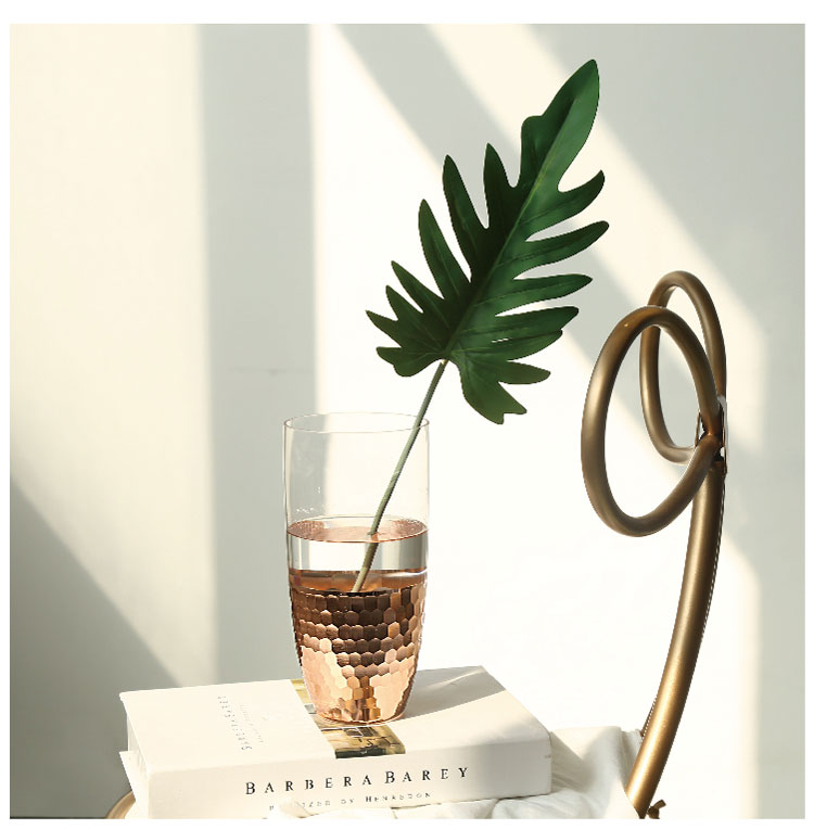 ins Nordic golden light Luxury glass Vase, modern transparent hydroponic vase for home decoration detail image 3