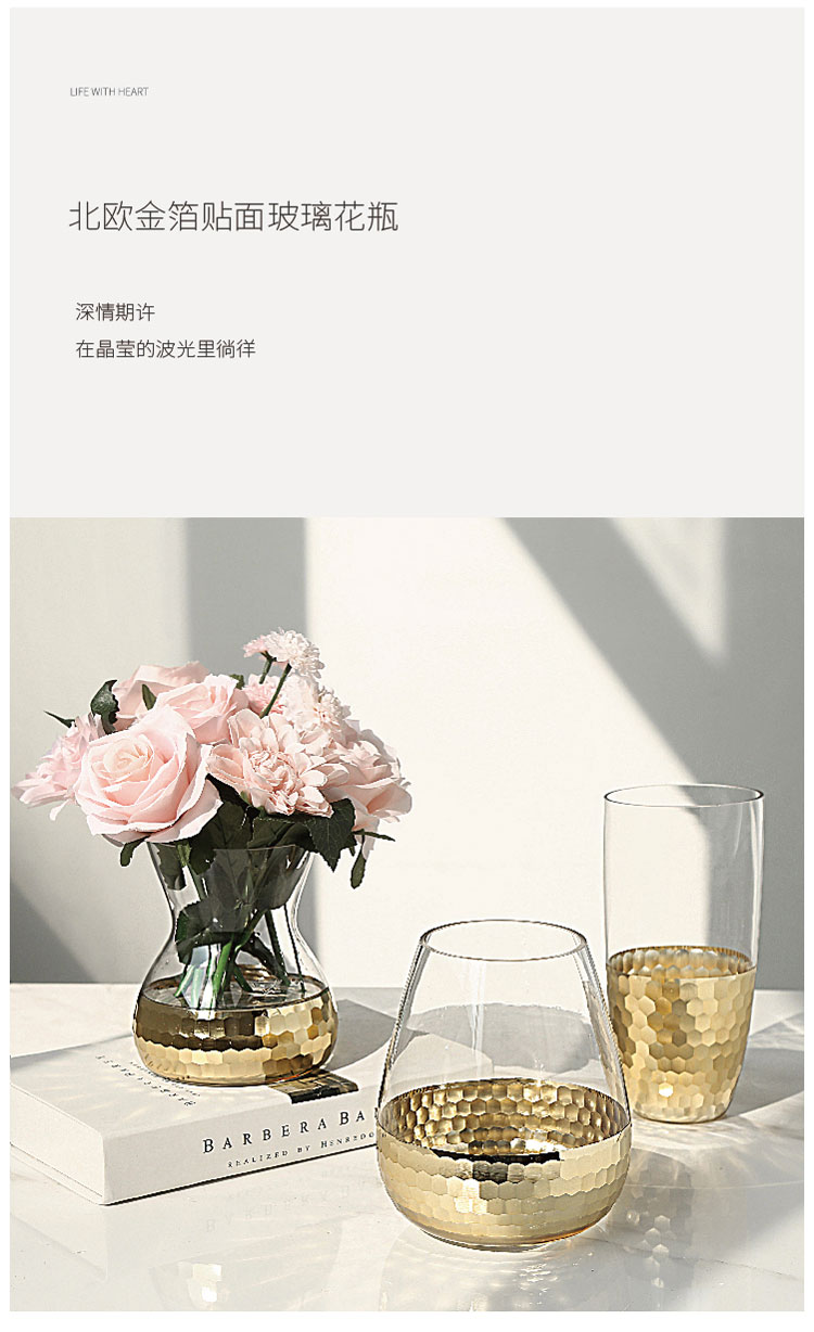 ins Nordic golden light Luxury glass Vase, modern transparent hydroponic vase for home decoration detail image 2