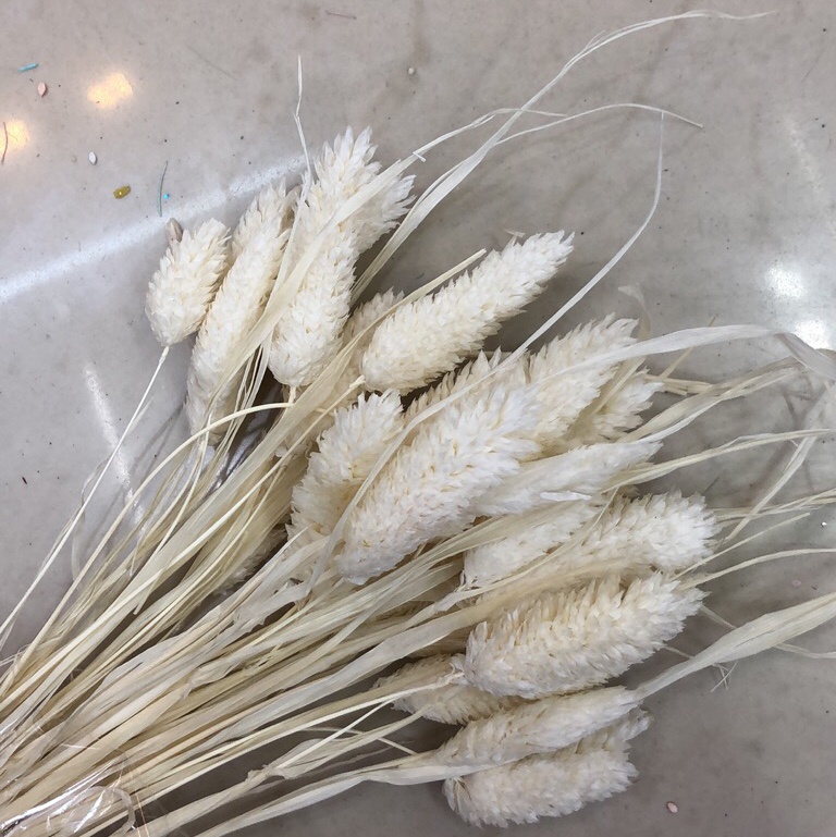 Eternal Flower True Flower Jewel Grass
