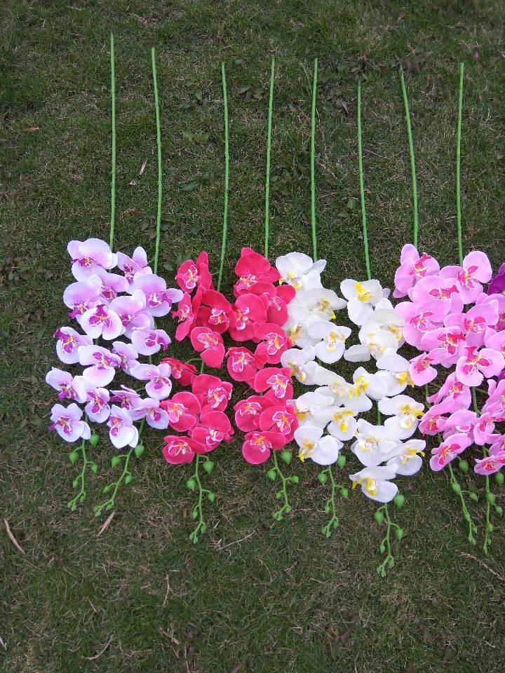 仿真花，，蝴蝶兰，郁金香，玫瑰花瓣，玫瑰，菊花，兰花，绣球花，尤加利藤条，满天星，春草，Pu迷你郁金香，太阳花，仿真水果