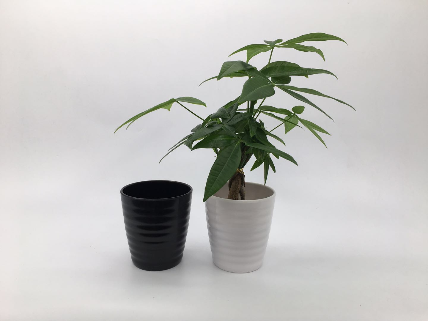 Factory direct sales of plastic flower POTS Y35 melamine flower POTS, plastic flower POTS and imitation porcelain flower POTS detail image 3