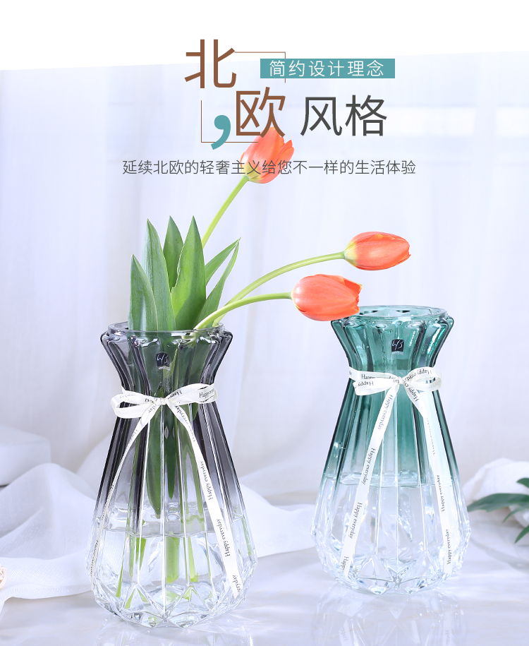 Gradient fresh and light hydroponic plant vase, transparent glass dried flower, lucky bamboo, white living room home decoration piece detail image 1
