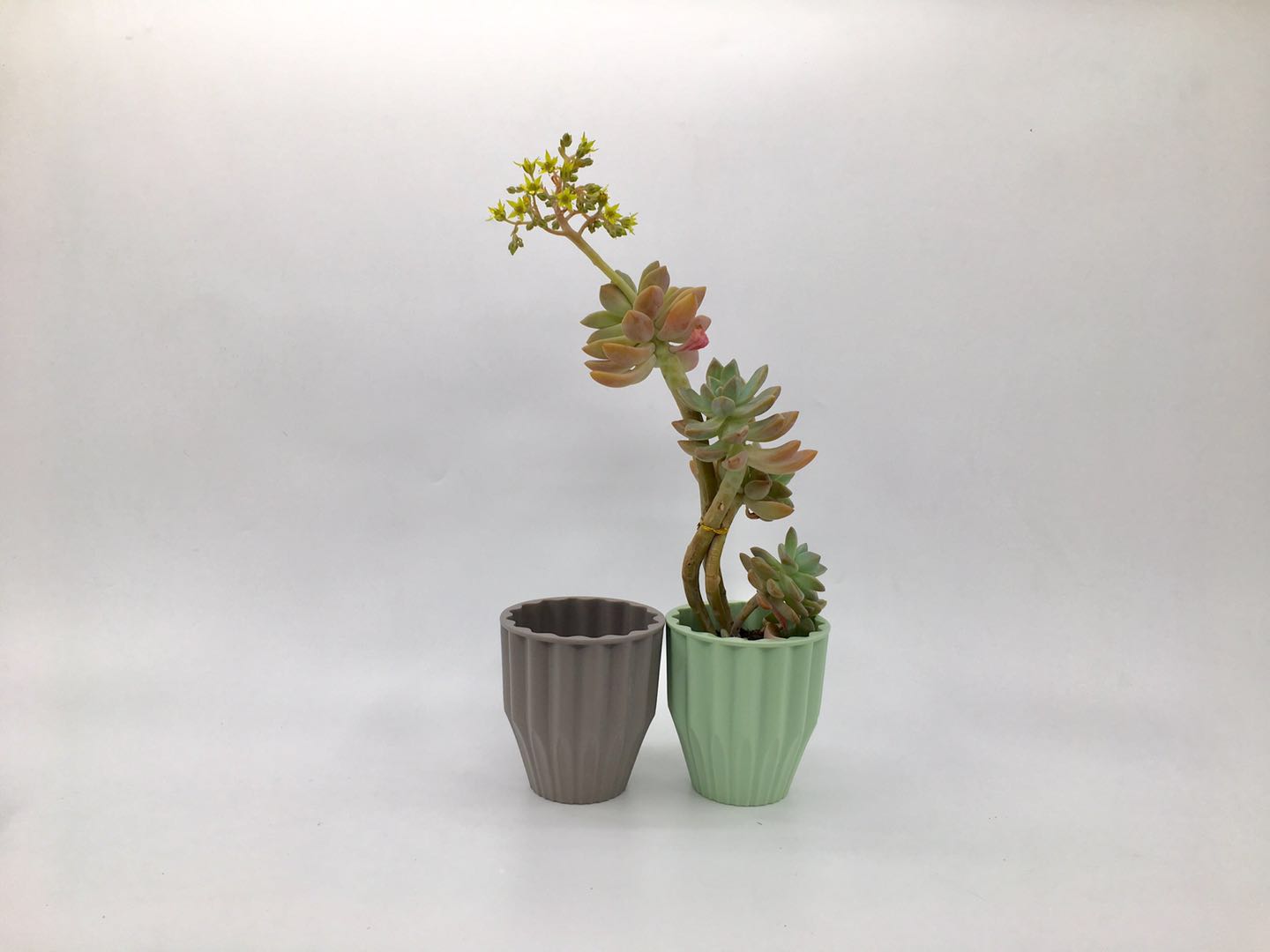 Factory direct sales of plastic flower POTS Y127 melamine flower POTS, plastic flower POTS, and imitation porcelain flower POTS