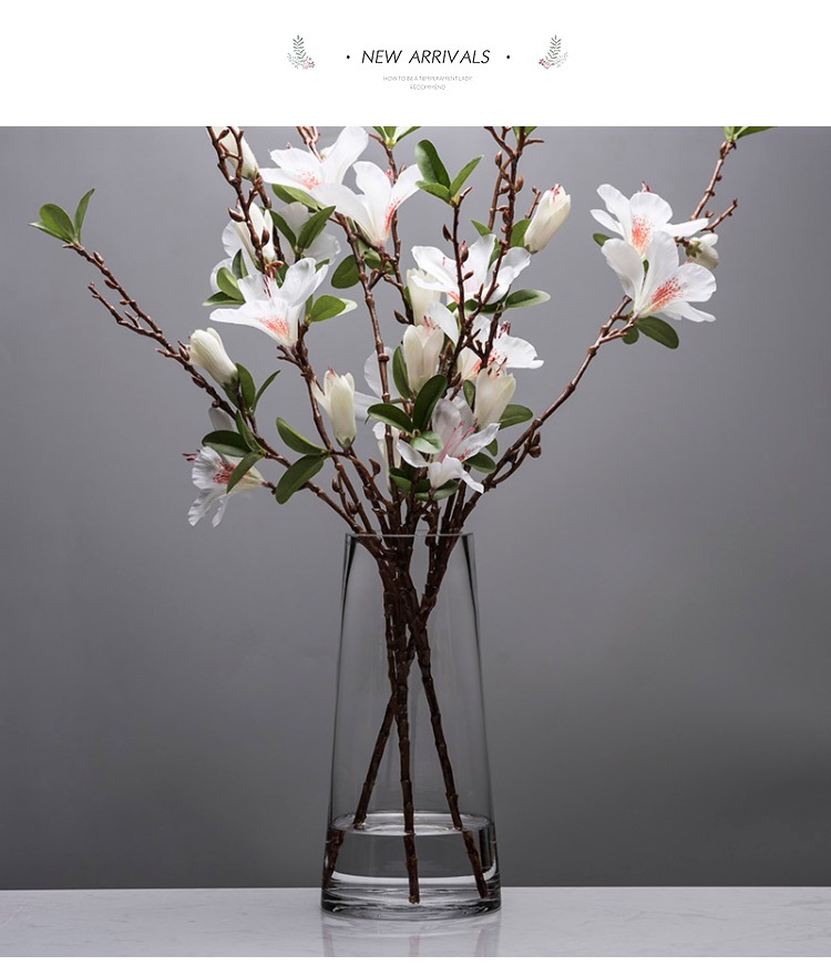 北欧T型简约玻璃花瓶透明描金 客厅餐桌家居装饰水养插花花瓶摆件详情图6