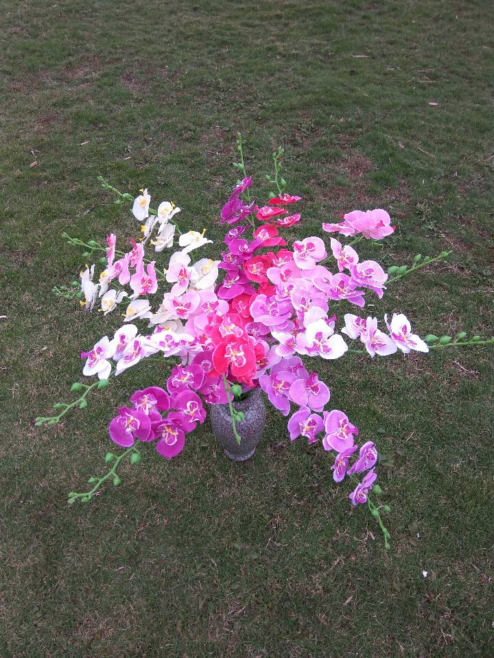 仿真花，，蝴蝶兰，郁金香，玫瑰花瓣，玫瑰，菊花，兰花，绣球花，尤加利藤条，满天星，春草，Pu迷你郁金香，太阳花，仿真水果