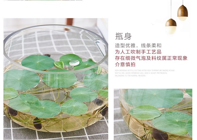 Hydroponic plant glass bottles, transparent vessels, pothos hydroponic containers, large creative vases, multi-functional water cultivation flowerpots