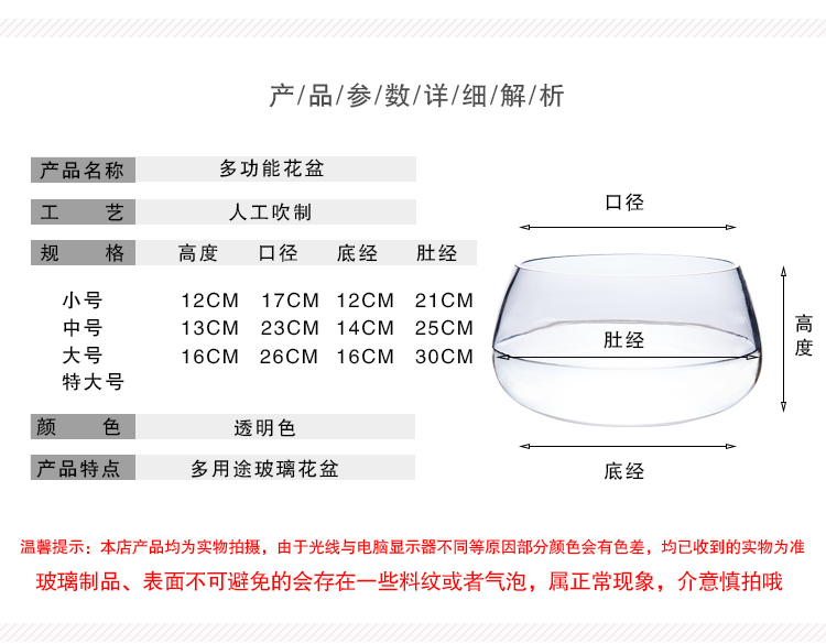 Hydroponic plant glass bottles, transparent vessels, pothos hydroponic containers, large creative vases, multi-functional water cultivation flowerpots detail image 5