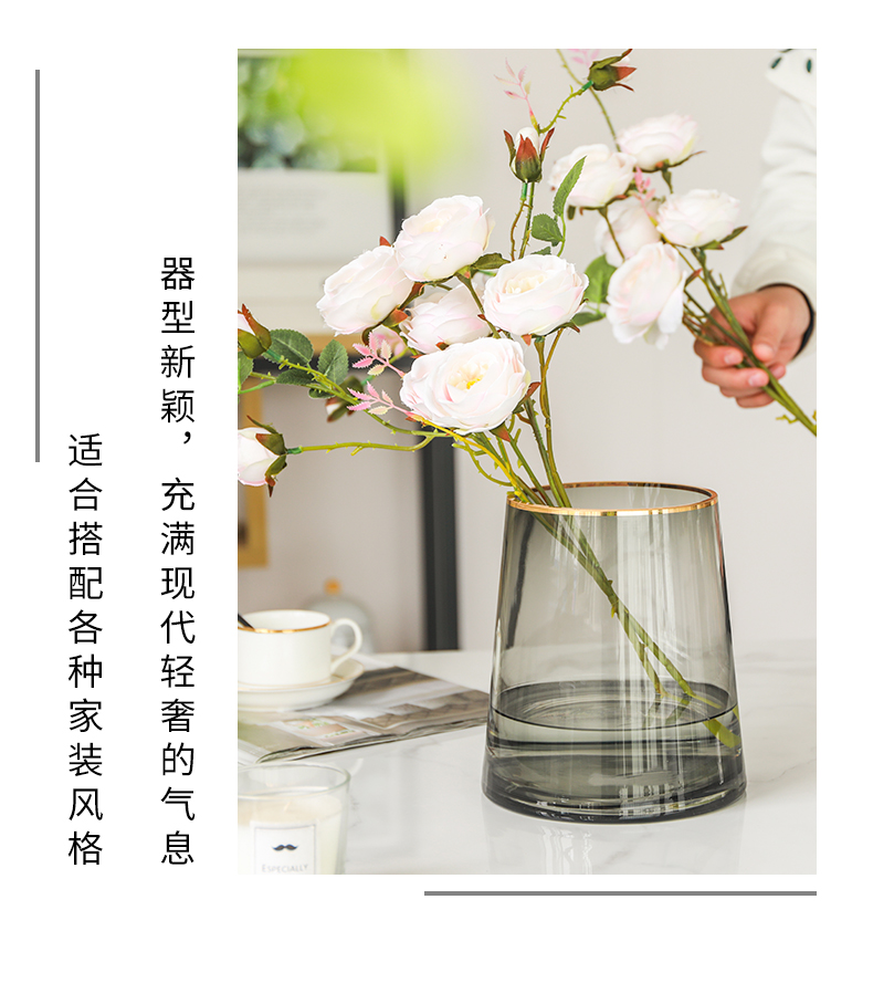 北欧金边满天星花瓶摆件玻璃客厅透明插花鲜花水养干花餐桌装饰品详情图2