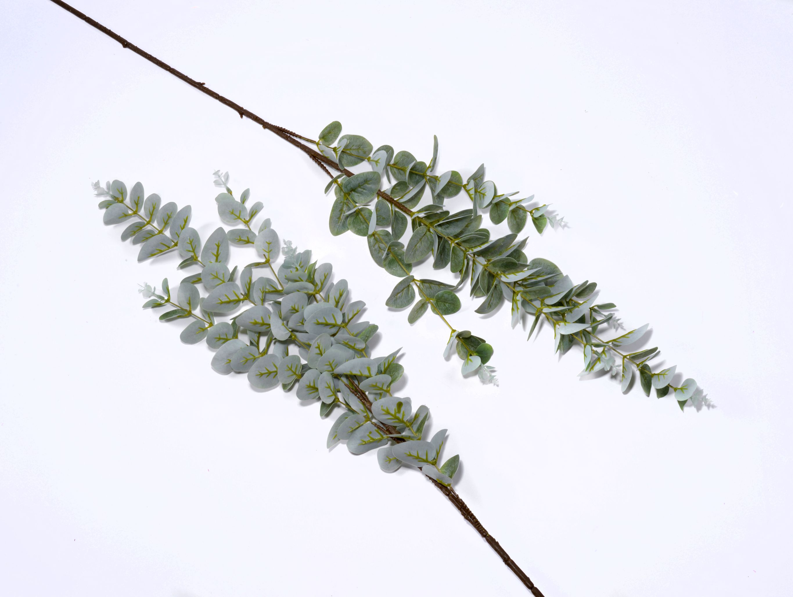 Long branches eucalyptus ash thumbnail