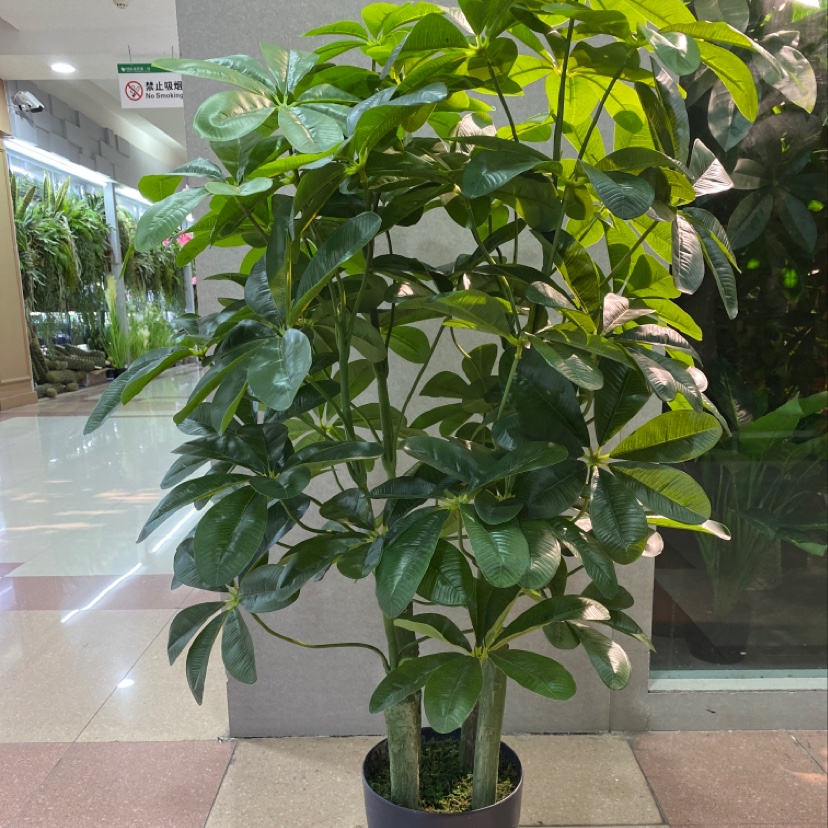 四杆大富贵细节图