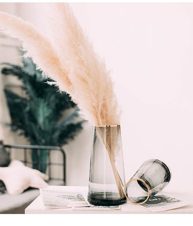 轻奢描金透明玻璃花瓶干花客厅花器摆件装饰创意简约北欧水养插花