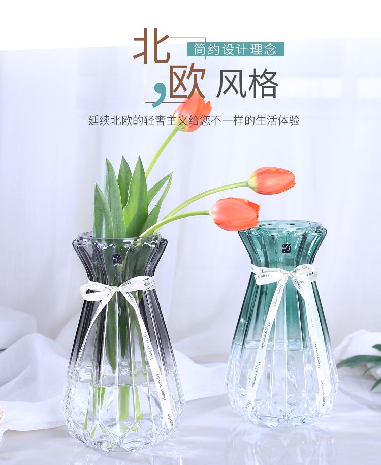 Gradient fresh and light hydroponic plant vase, transparent glass dried flower, lucky bamboo, white living room home decoration piece