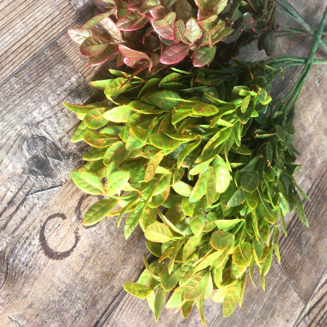 Grass-5 grass-5 grass-5 grass-5 grass-5 grass-5 grass-5 grass-5 details Picture