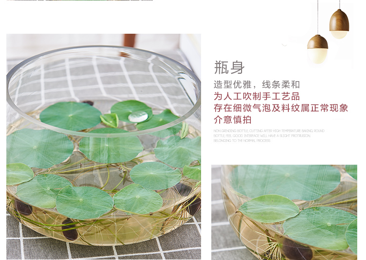 Hydroponic plant glass bottles, transparent vessels, pothos hydroponic containers, large creative vases, multi-functional water cultivation flowerpots detail image 2