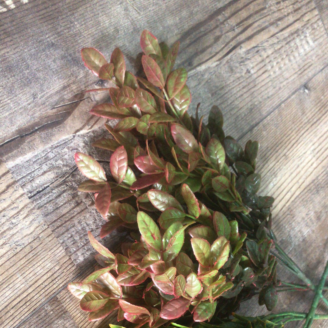 Grass-5 grass-5 grass-5 grass-5 grass-5 grass-5 grass-5 grass-5