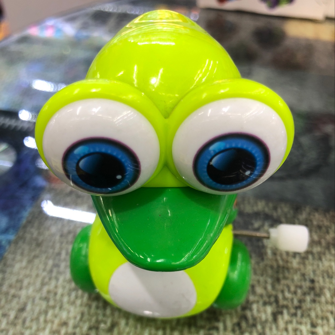 Chain big - eyed duck thumbnail