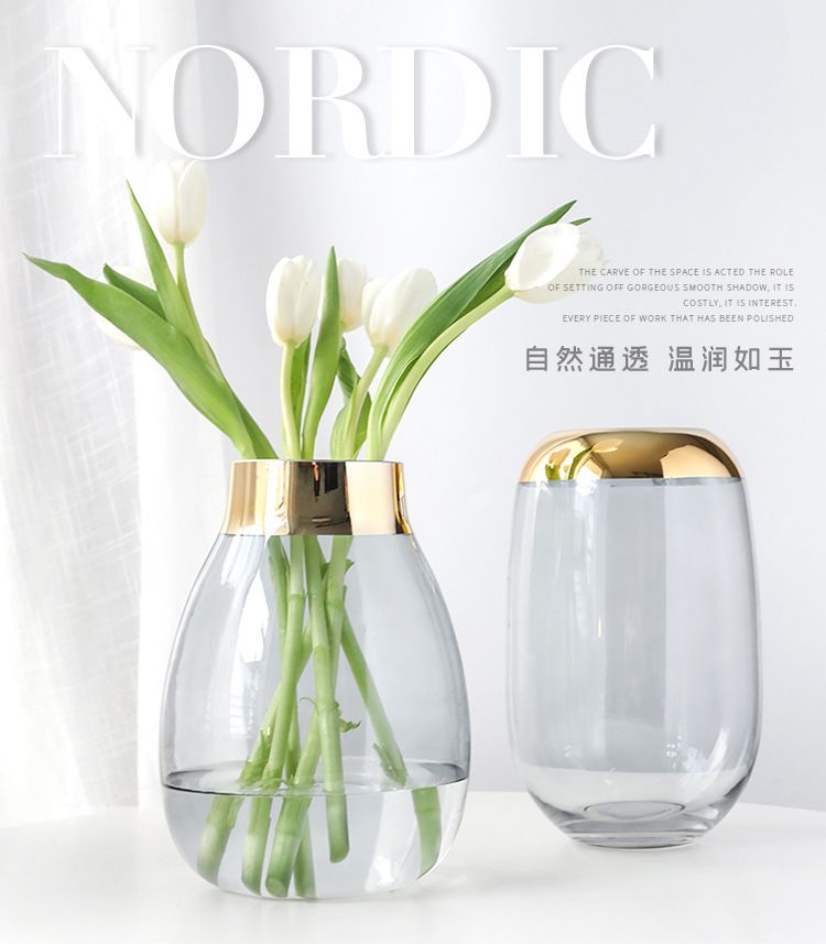 现代简约ins欧式经典透明玻璃花瓶北欧花器 描金边口轻奢摆件插花