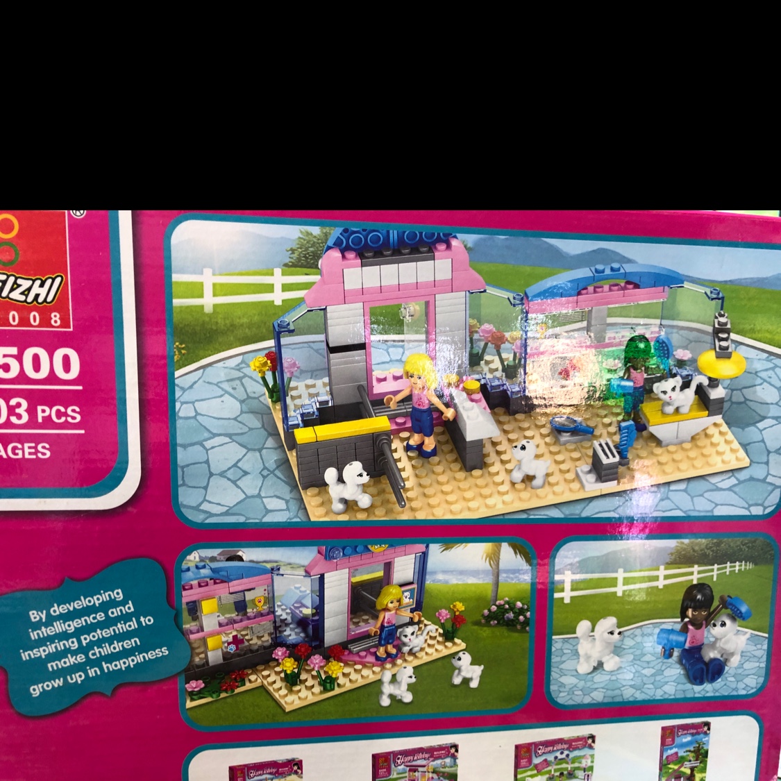 Building Block 50 details Picture