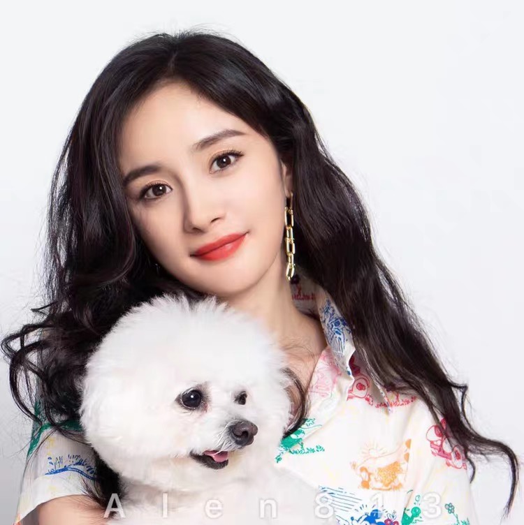 The new chain metal earrings and earrings of the same style as Yang Mi's in the live-streaming room of Dongdaemun, South Korea, are fashionable and popular, versatile and elegant for women Specification image
