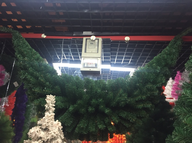1.5-meter horned vine details Picture