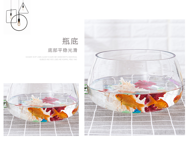 Hydroponic plant glass bottles, transparent vessels, pothos hydroponic containers, large creative vases, multi-functional water cultivation flowerpots detail image 4