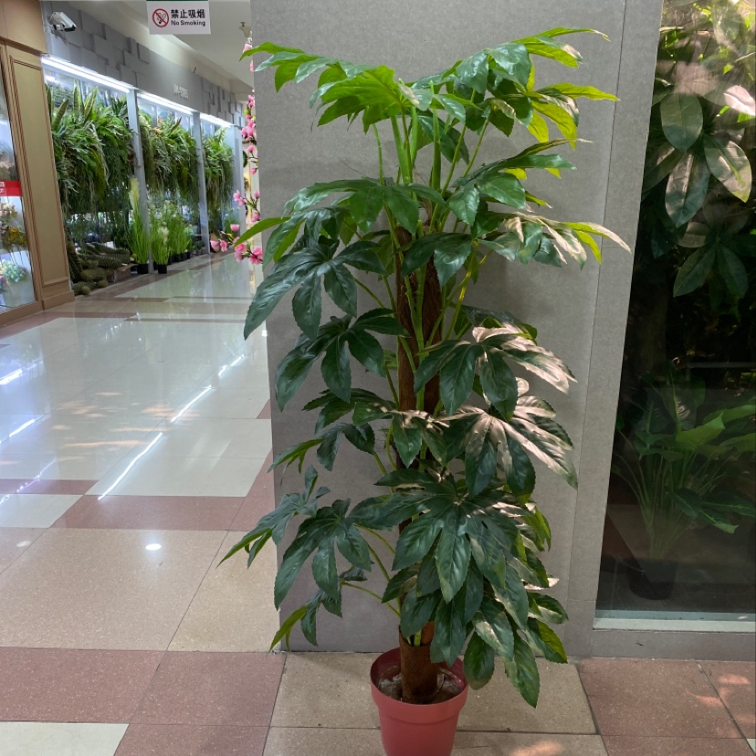 1米包棕中号聚金盆