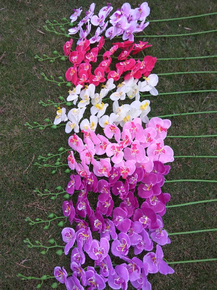 仿真花，，蝴蝶兰，郁金香，玫瑰花瓣，玫瑰，菊花，兰花，绣球花，尤加利藤条，满天星，春草，Pu迷你郁金香，太阳花，仿真水果
