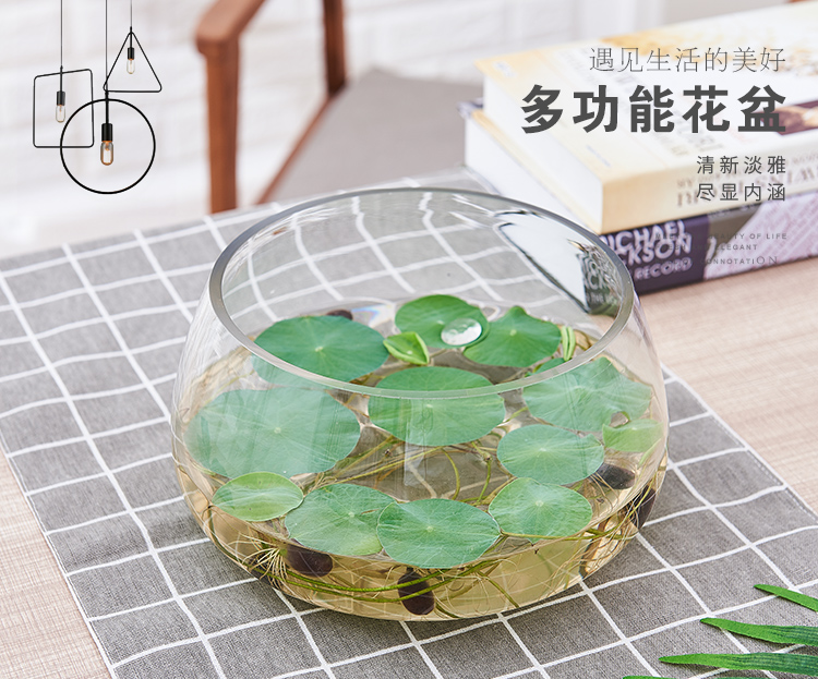 Hydroponic plant glass bottles, transparent vessels, pothos hydroponic containers, large creative vases, multi-functional water cultivation flowerpots detail image 1