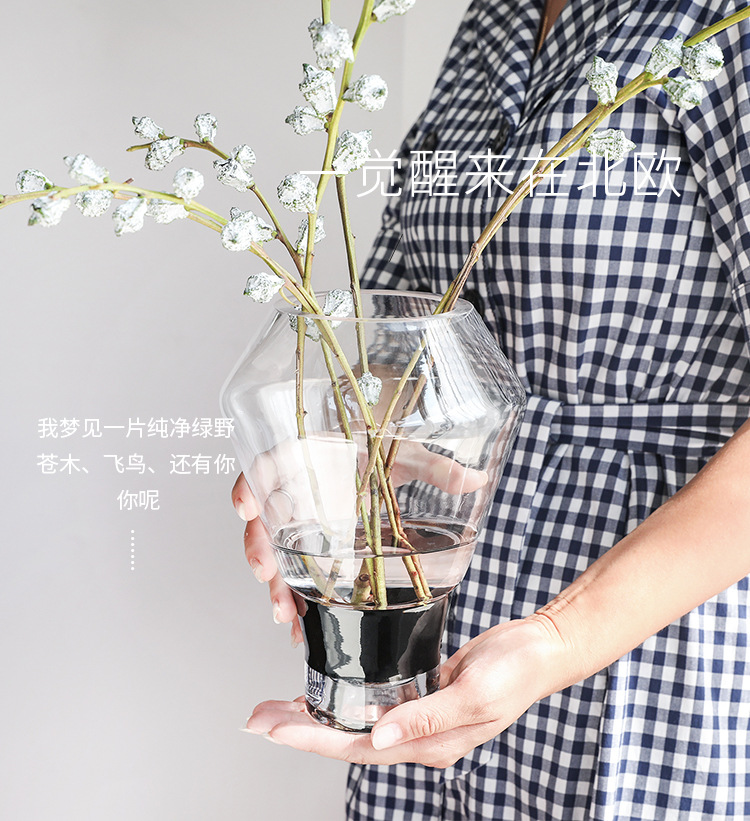 Modern and simple Nordic-style gilded black personalized transparent glass vases, flower vases, flower arrangements, fresh flowers, home panel room ornaments detail image 2