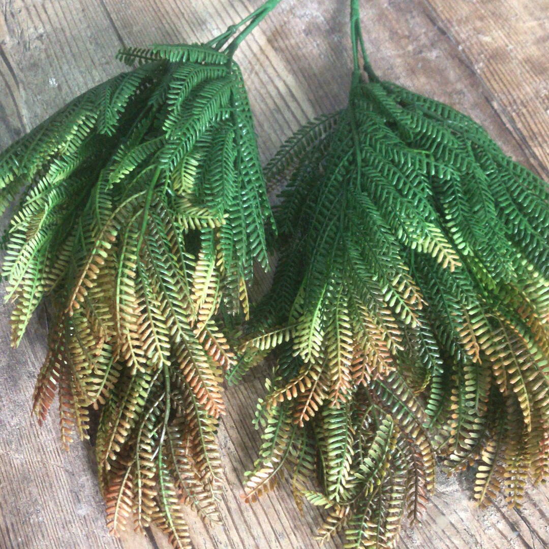 Grass -8 details Picture