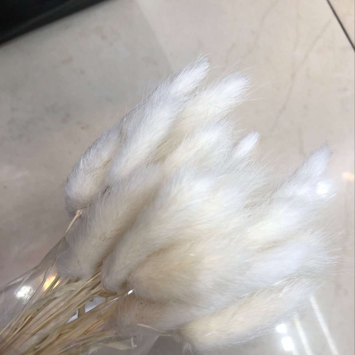 Eternal Flower True Flower Rabbit Tail White details Picture