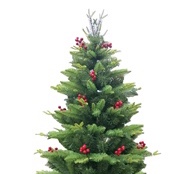 六叉嫩头PE加尖头元头加7粒红果