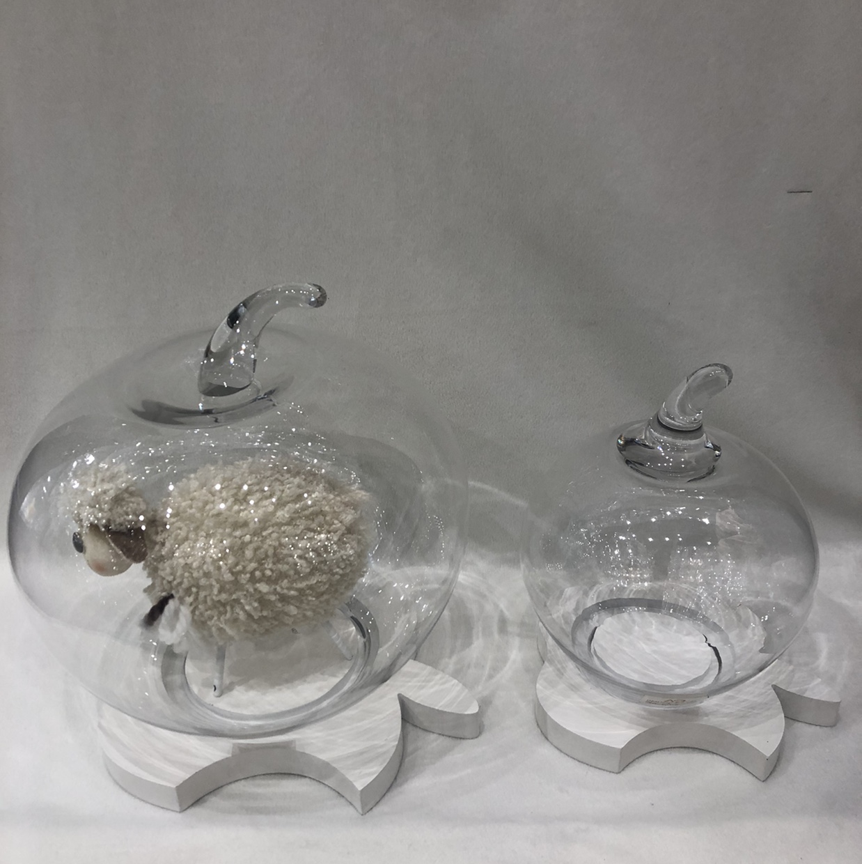 Modern immortal flower cover tabletop decoration dry flower transparent display box glass cover