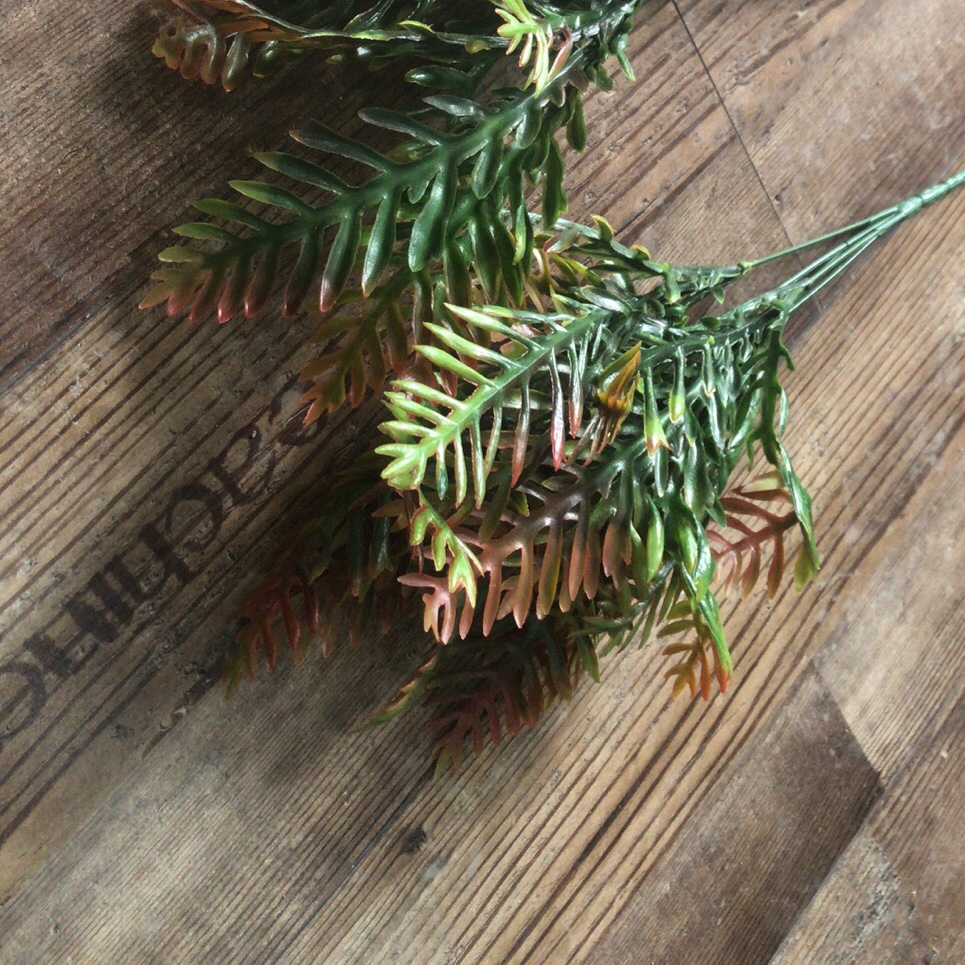 Grass -7 details Picture