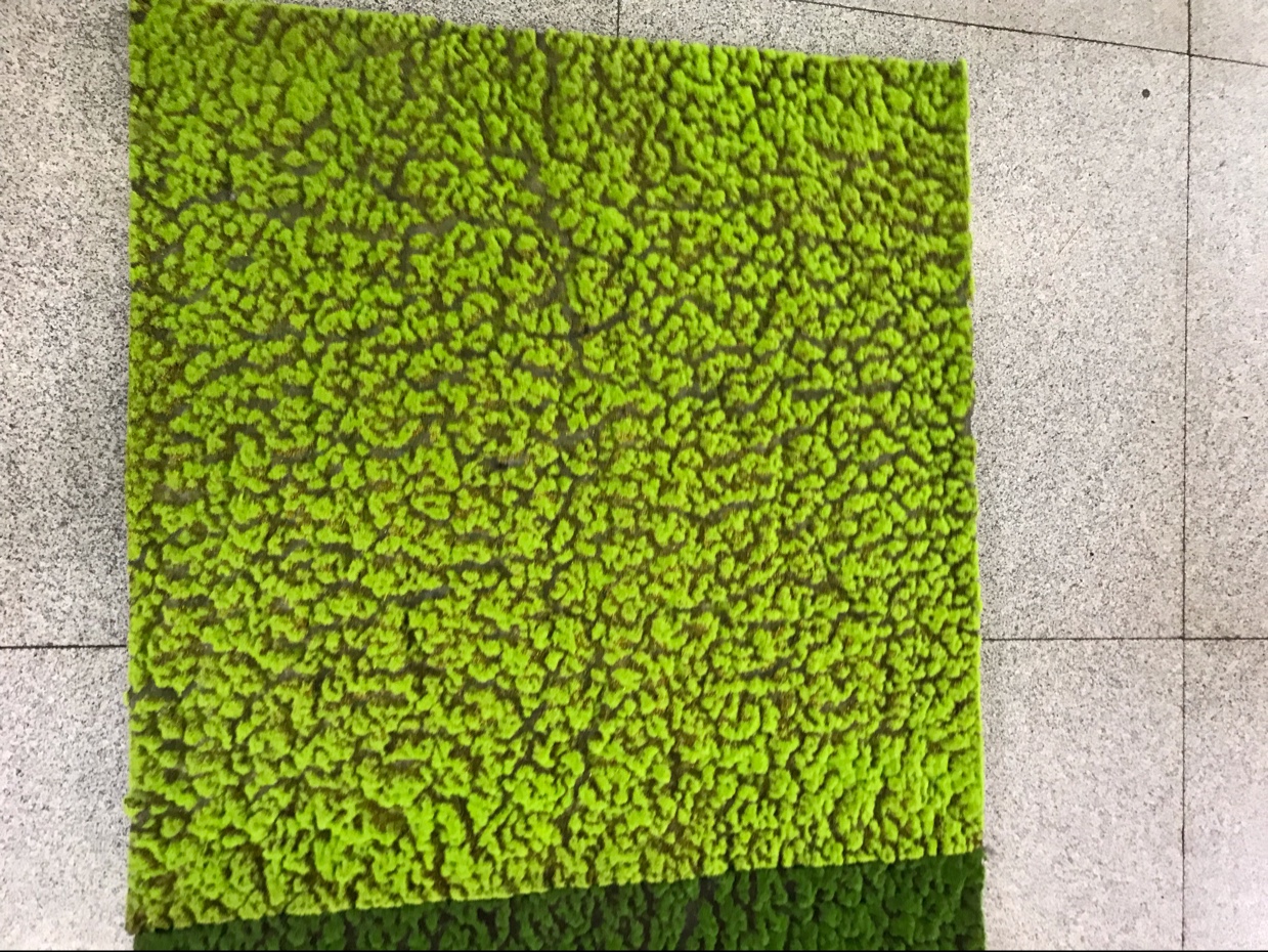 Living Room Background Decoration Simulation Plant Decoration Preferred Simulation Moss