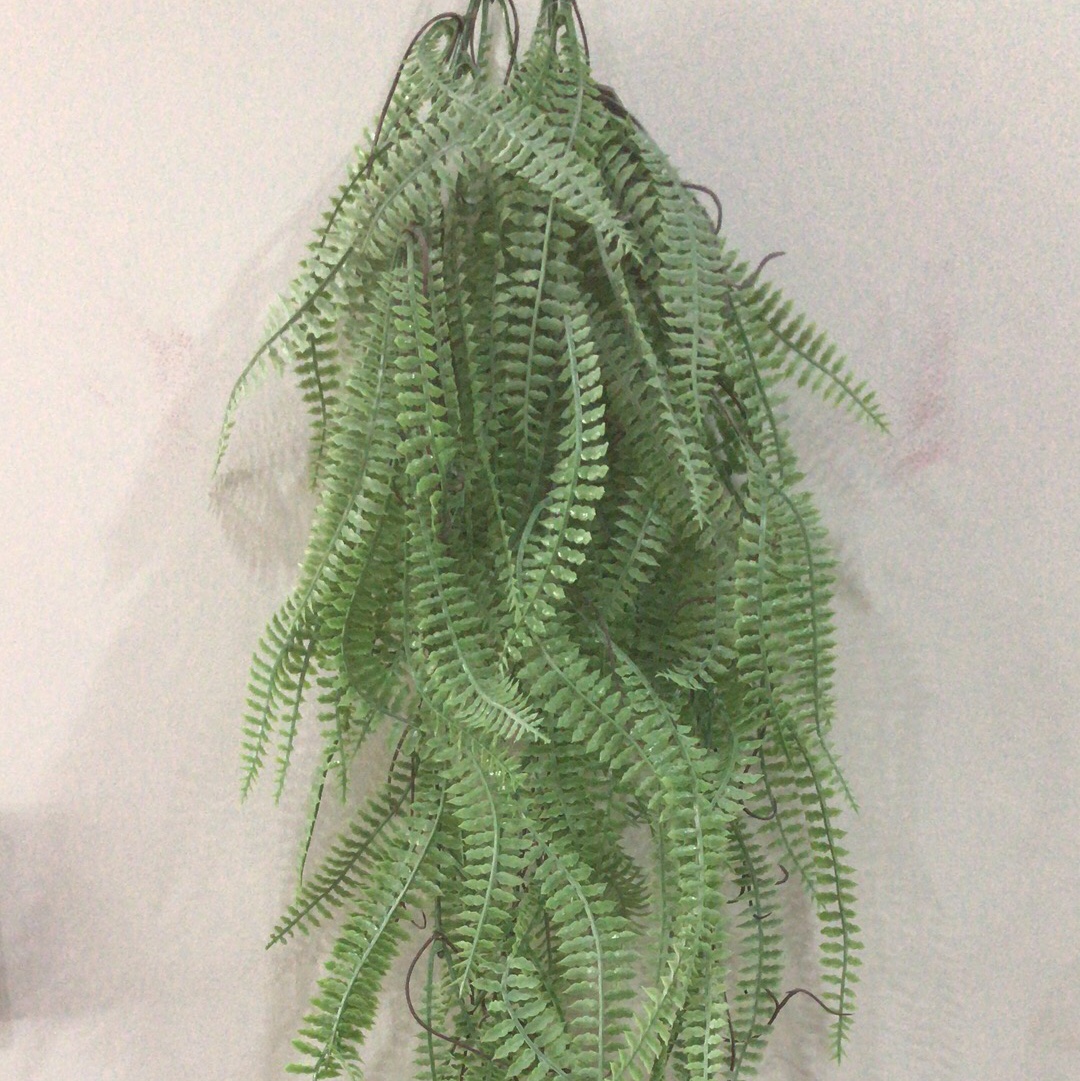 Persian vine details Picture