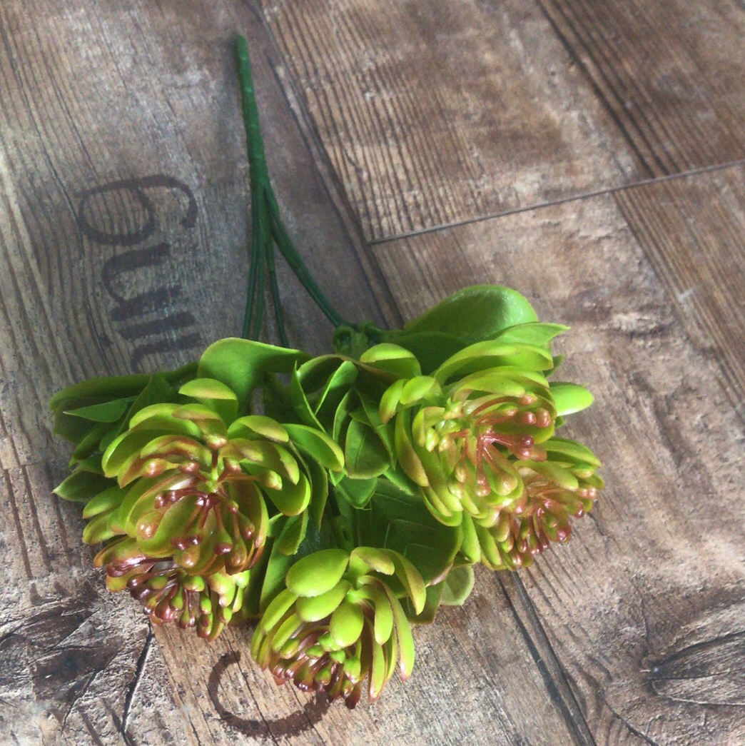 Grass-6 details Picture