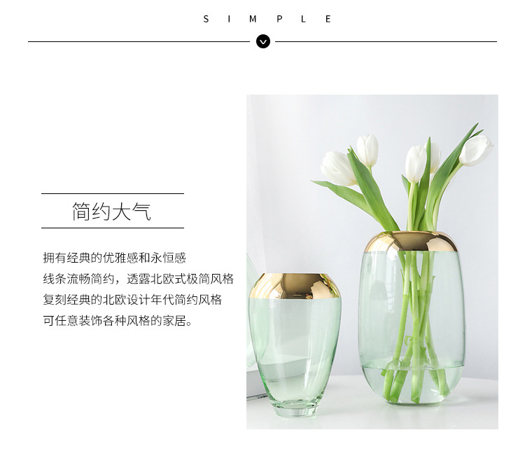 Modern and simple ins European classic transparent glass vases, Nordic flower vases with gilded edges, light luxury decorative items, flower arrangements detail image 2