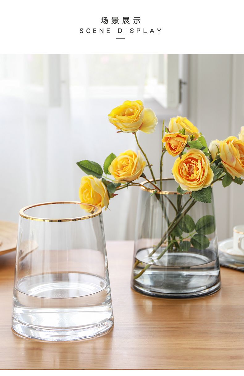 Nordic golden-edged asters vase decoration, glass living room transparent flower arrangement, fresh water-grown dried flowers, table decoration
