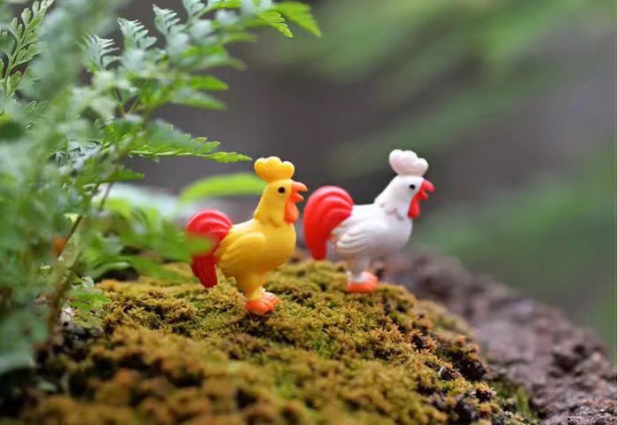 厂家直销公鸡微景观摆件图