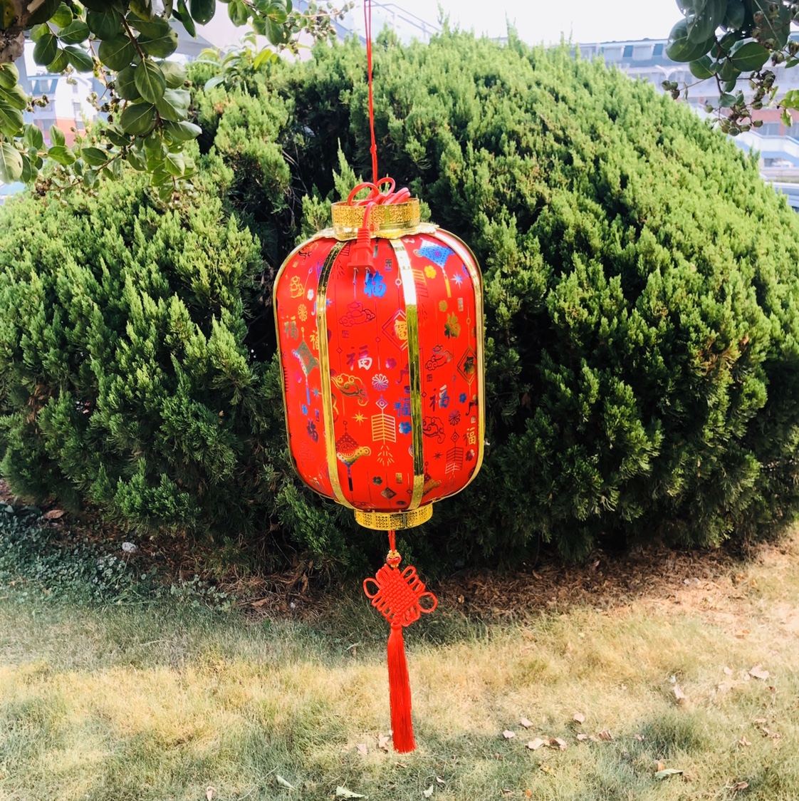 50#长形（冬瓜式）灯笼
LED图