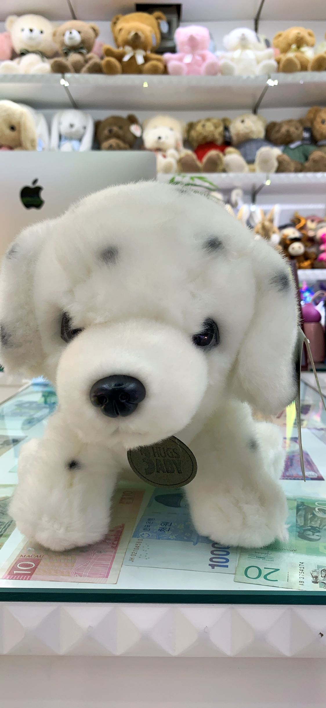 Standing spotted dogs thumbnail