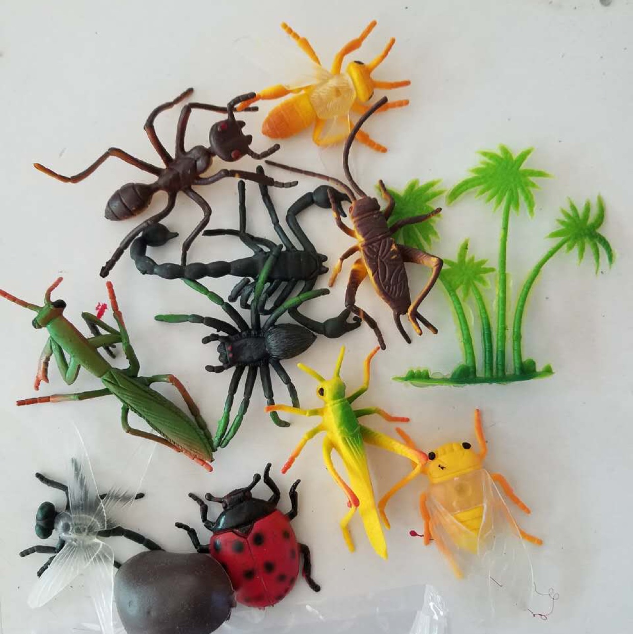 小昆虫12款