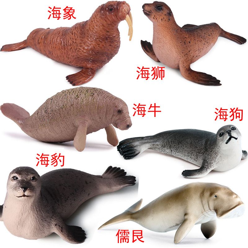 海豹海狗海狮海象海牛河狸水獭儒艮仿真玩具海洋动物生物模型图
