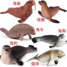 海豹海狗海狮海象海牛河狸水獭儒艮仿真玩具海洋动物生物模型