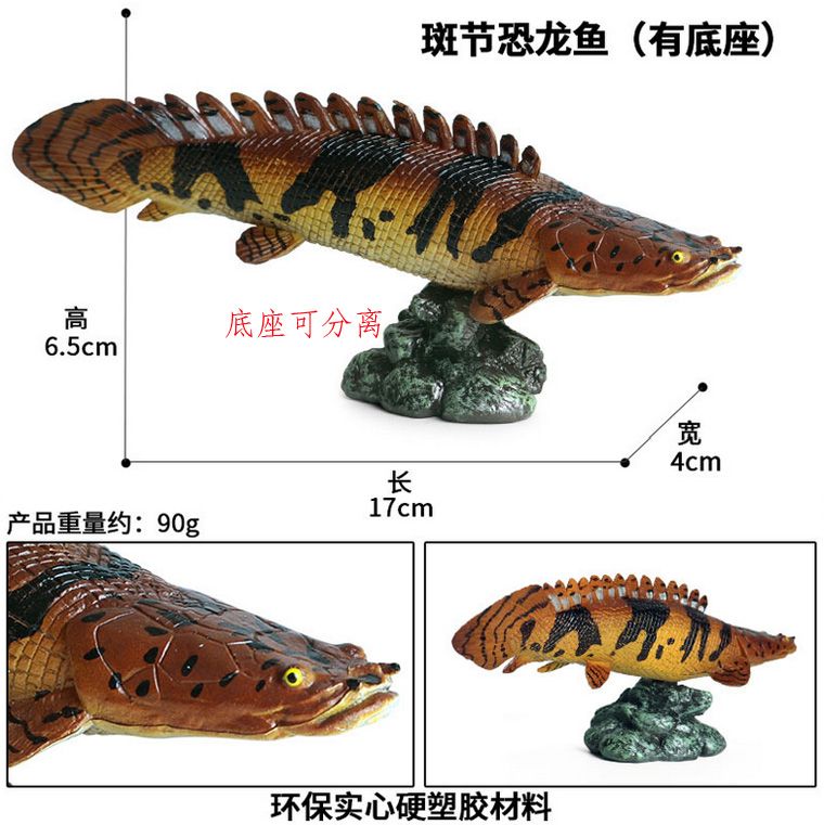 巨骨舌鱼海象鱼斑节恐龙鱼旗鱼飞鱼斑马鲨蓝鲨海洋动物模型玩具产品图