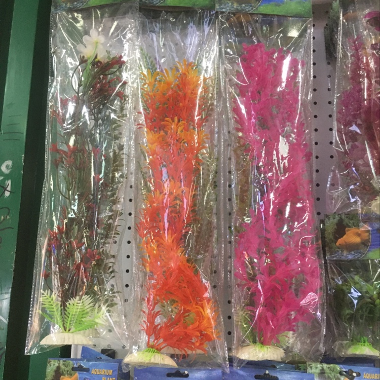 加长水草48cm  鱼缸草  观赏鱼缸配件
